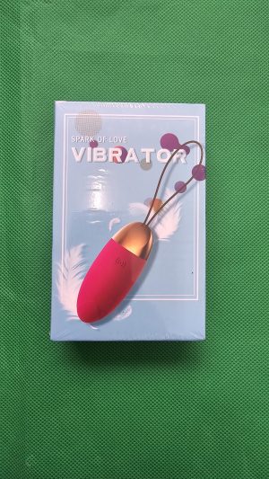 Vibrator